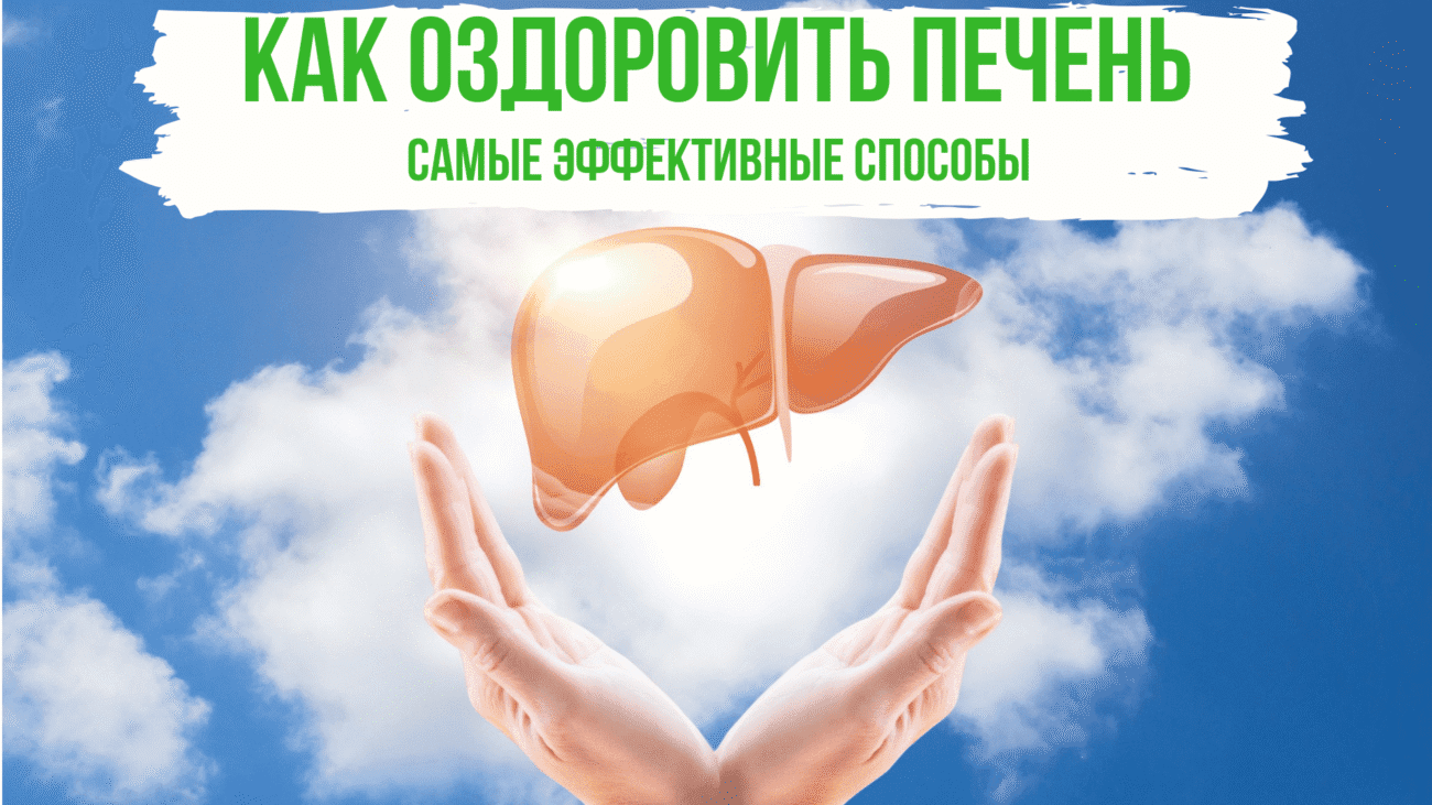 Как оздоровить печень